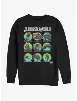 Null Jurassic World Hall Of Fame Sweatshirt