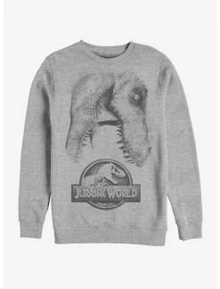 Null Jurassic World Large Rex Sweatshirt